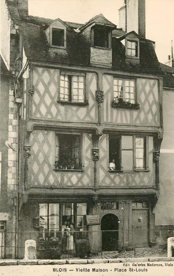 Maison Des Acrobates Блуа Экстерьер фото
